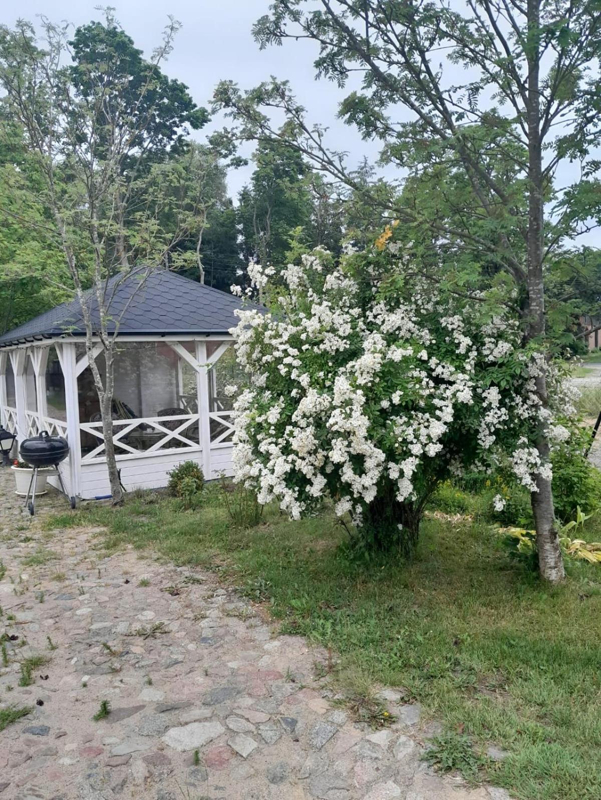 Villa Dom Nad Morzem Ludwikowo Skrzeszewo  Exterior foto